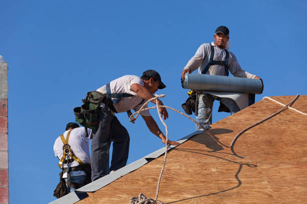 Best Roof Gutter Cleaning  in Kenbridge, VA