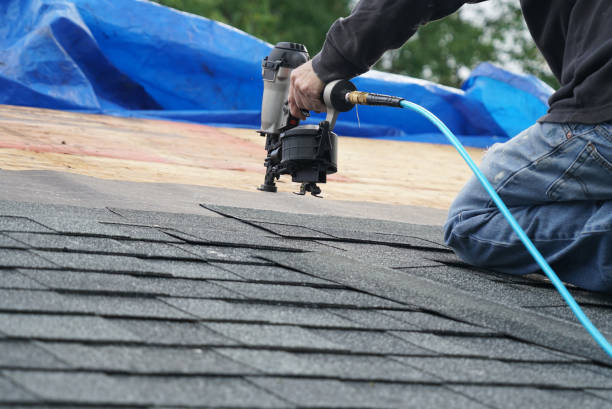 Best Storm Damage Roof Repair  in Kenbridge, VA